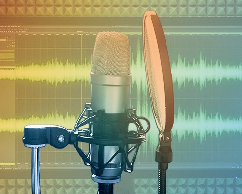 voice data
